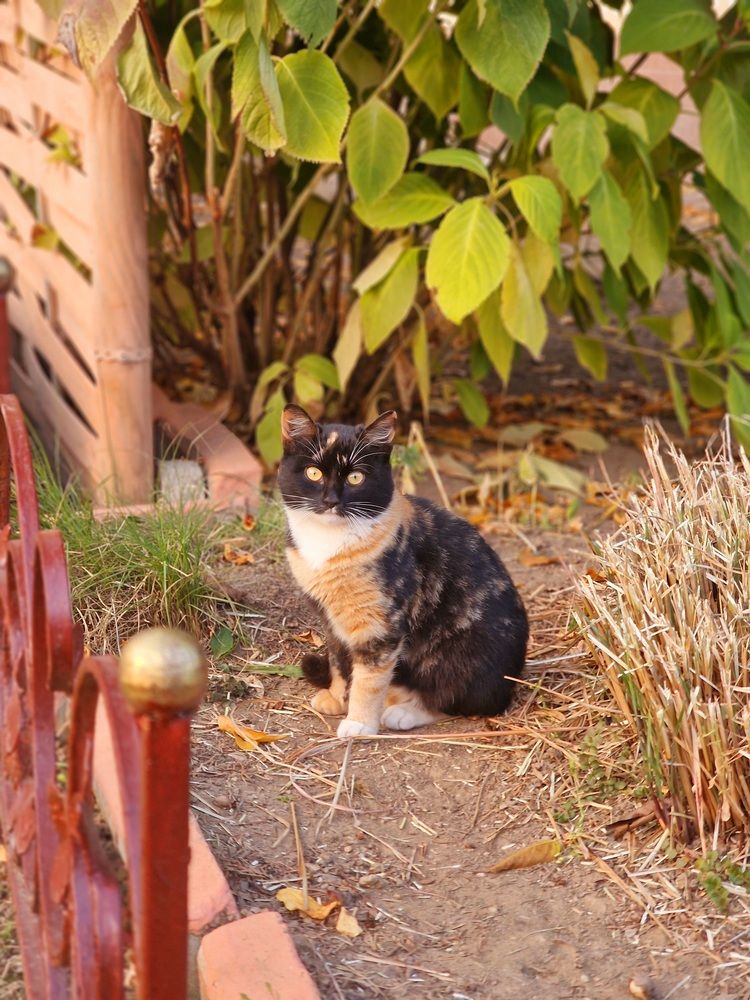 Photograph by Robert Suditu