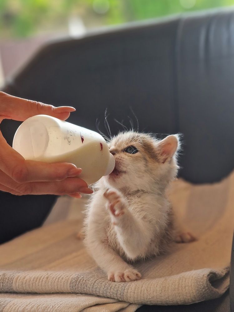 Photograph by Robert Suditu