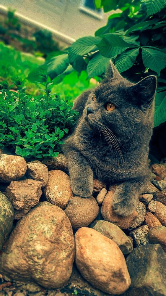 Photograph by Евгений Собашников