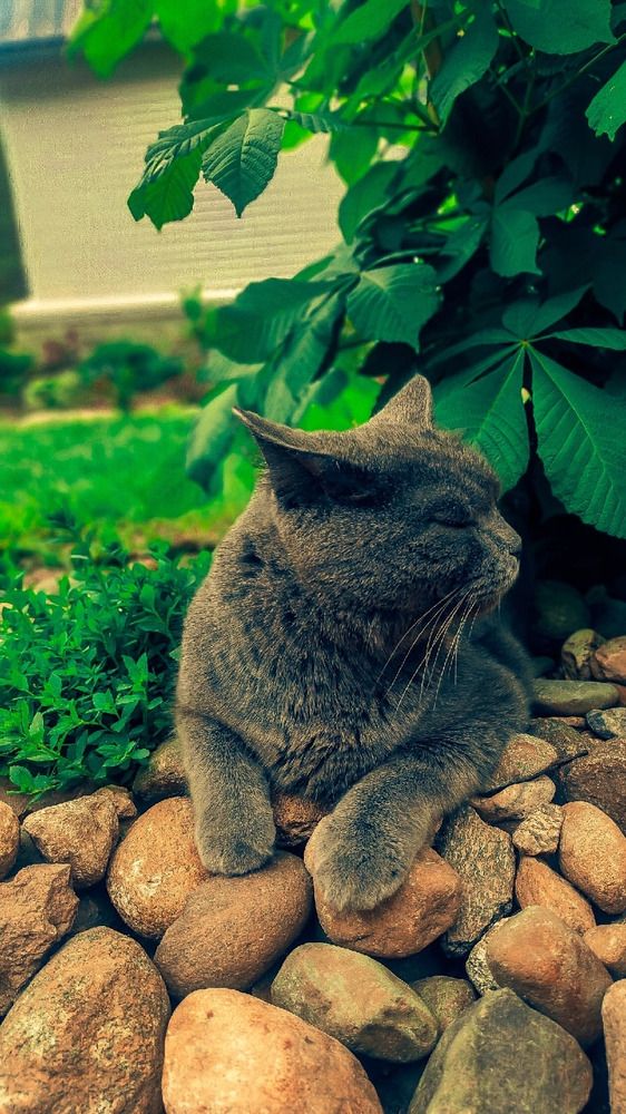Photograph by Евгений Собашников
