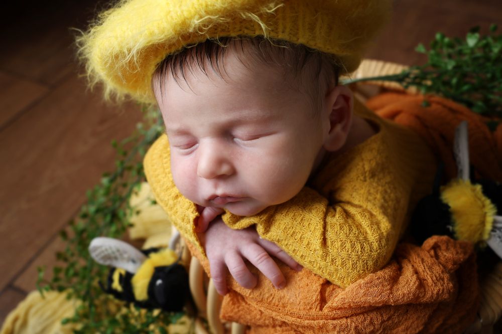 Photograph by LIAT GENDLER