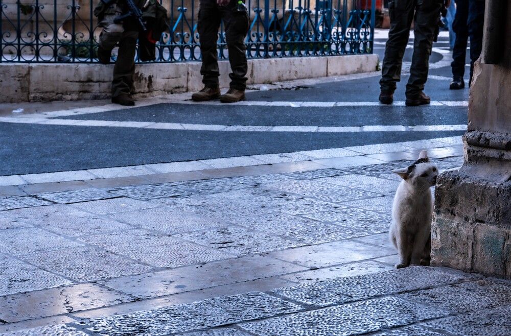 Photograph by Shulkin Igor