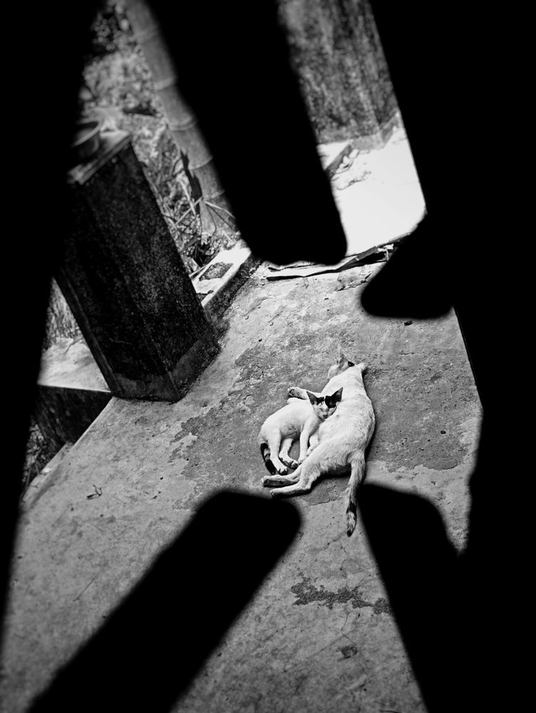 Photograph by Diya Guha