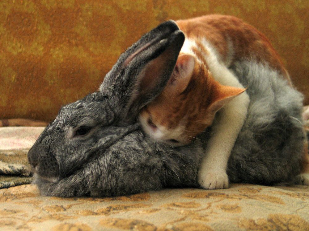 Photograph by Дмитрий Ткаченко