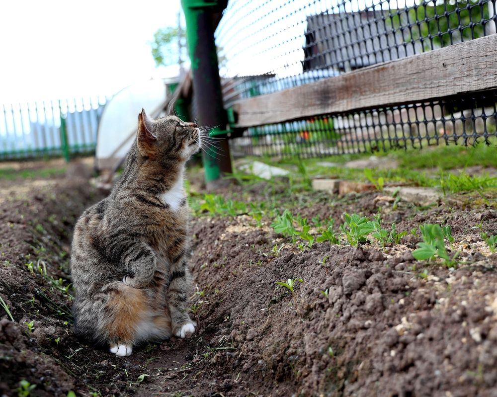 Photograph by Елена Титенская