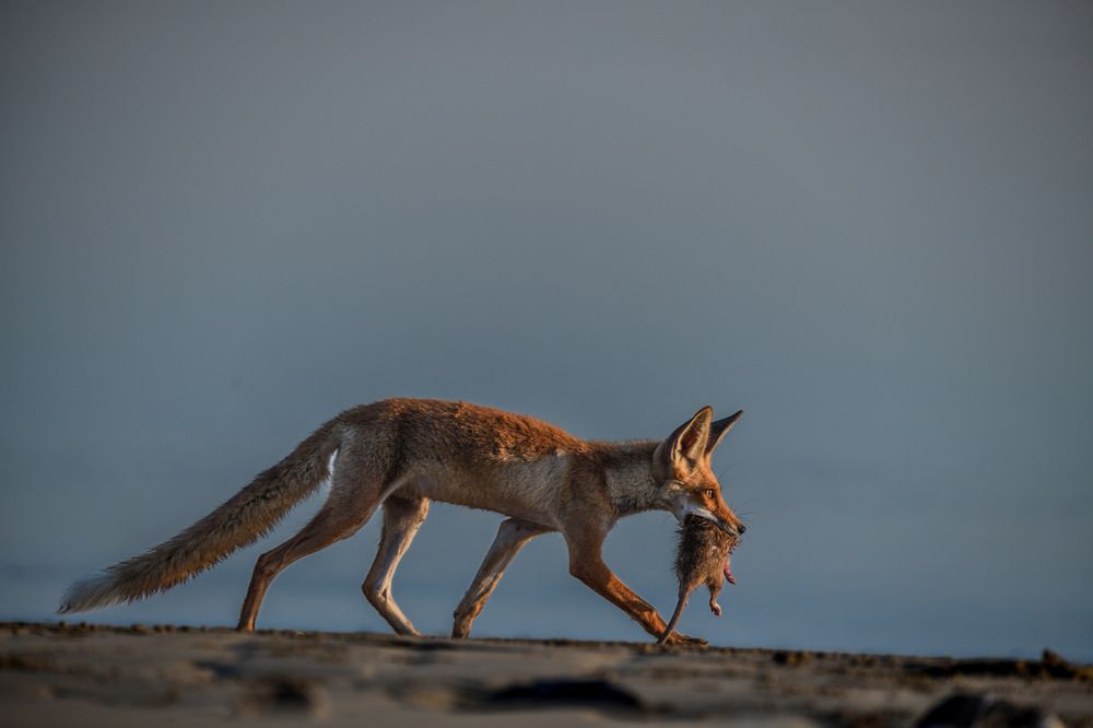 Photograph by Biju Augustine