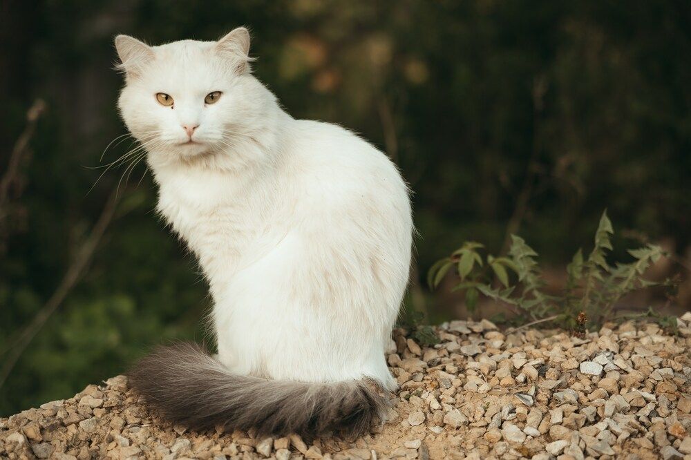 Photograph by Slava Storozhev