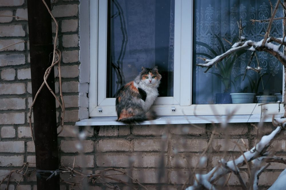 Photograph by Сергей Удовиченко