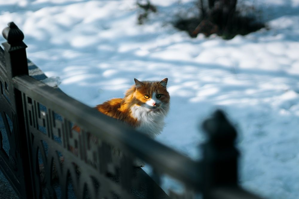 Photograph by Сергей Удовиченко