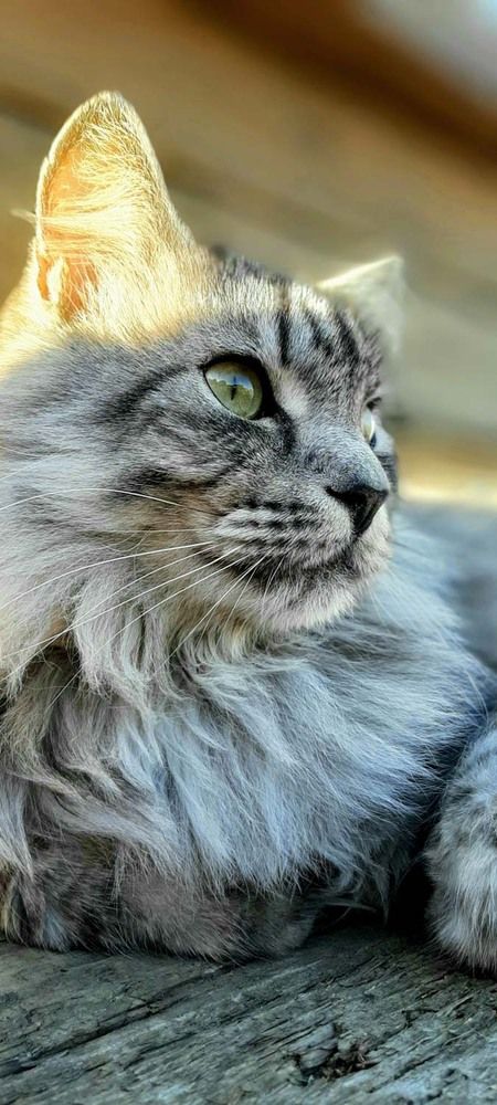 Photograph by Сергей Назаредский