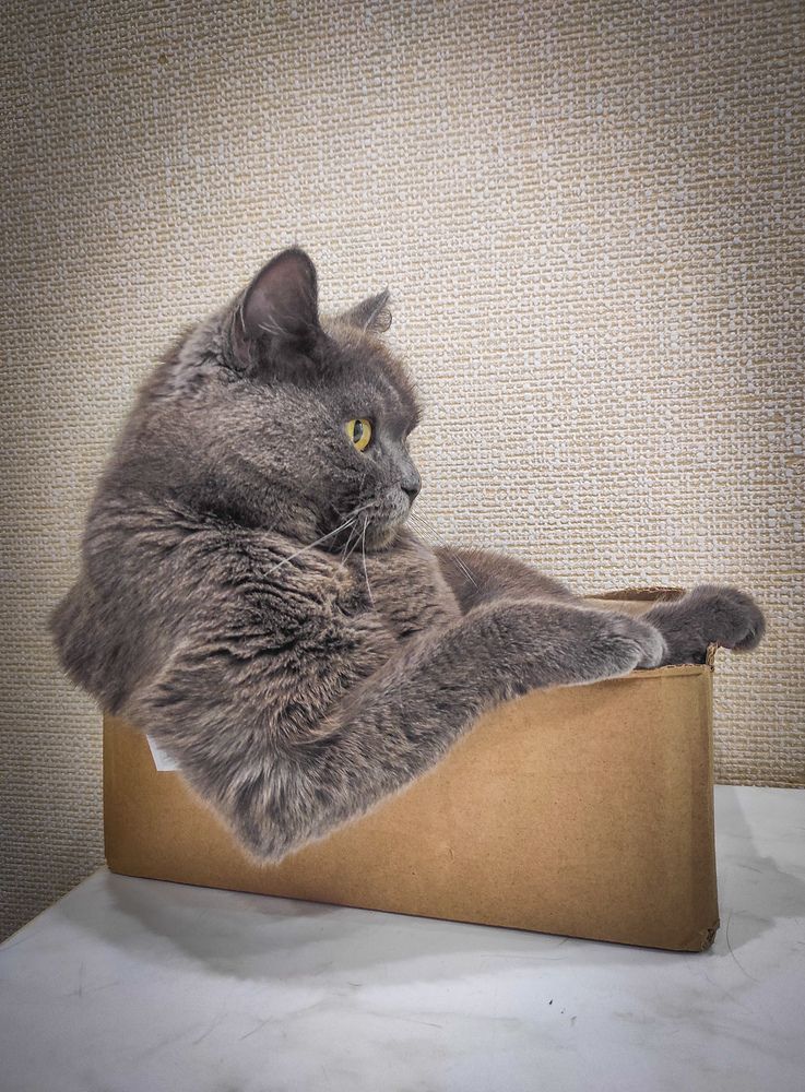 Photograph by Евгений Собашников