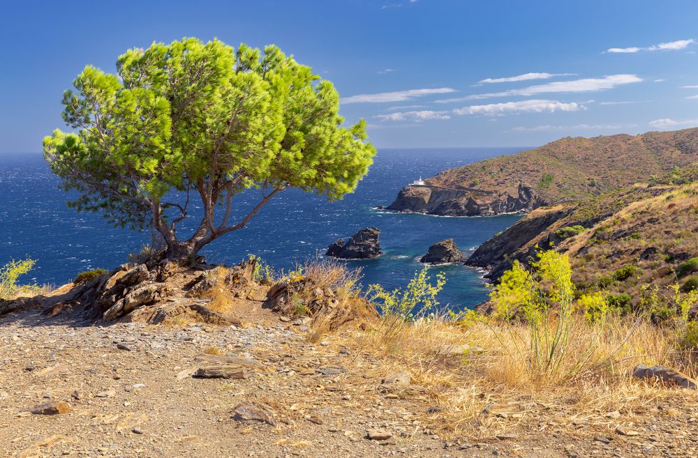 Faro de Cala Nans lighthouse.
