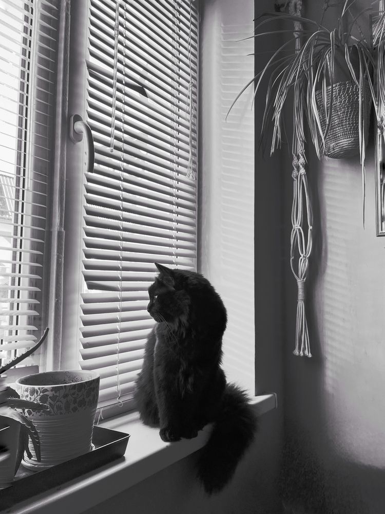 Photograph by Ольга Ручьева