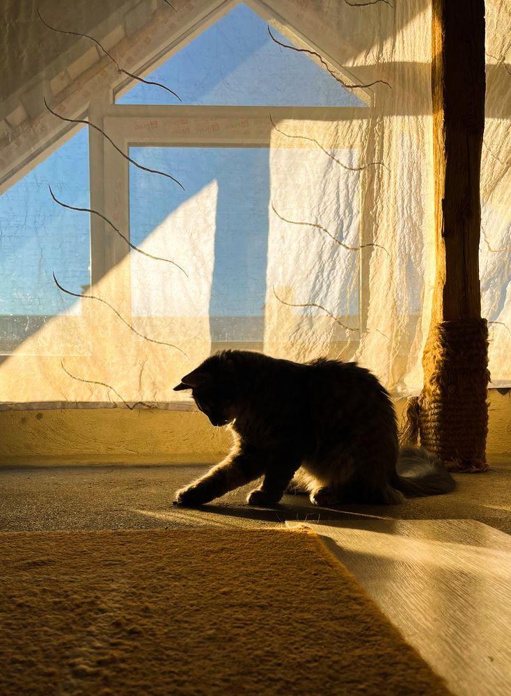 Photograph by Ольга Ручьева