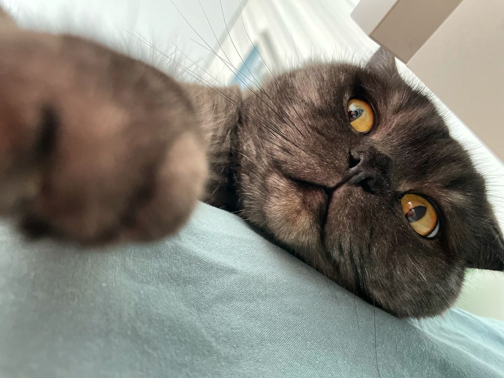 Photograph by Татьяна Смирнова