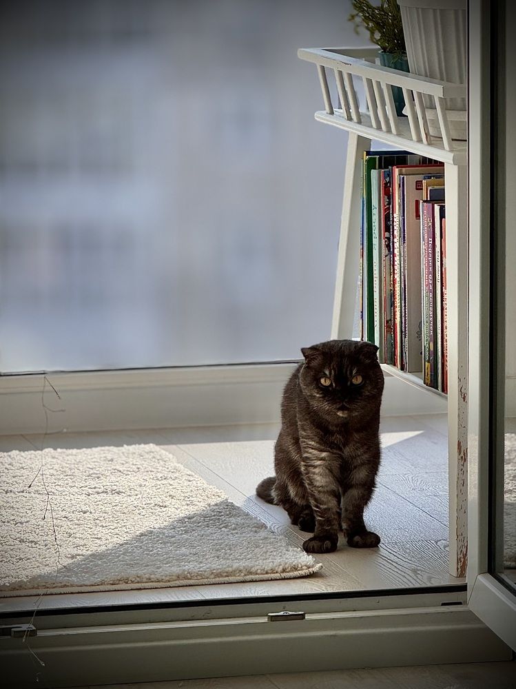 Photograph by Татьяна Смирнова