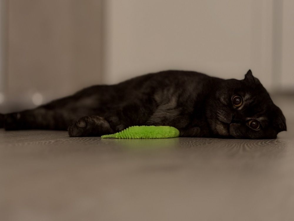 Photograph by Татьяна Смирнова