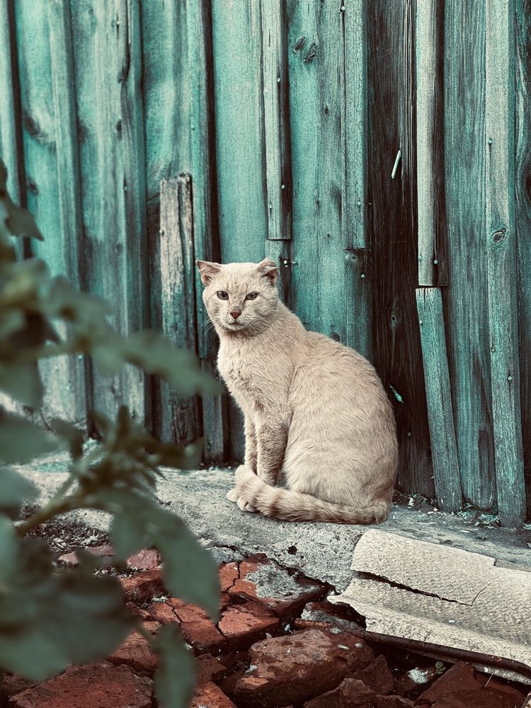 Photograph by Татьяна Смирнова