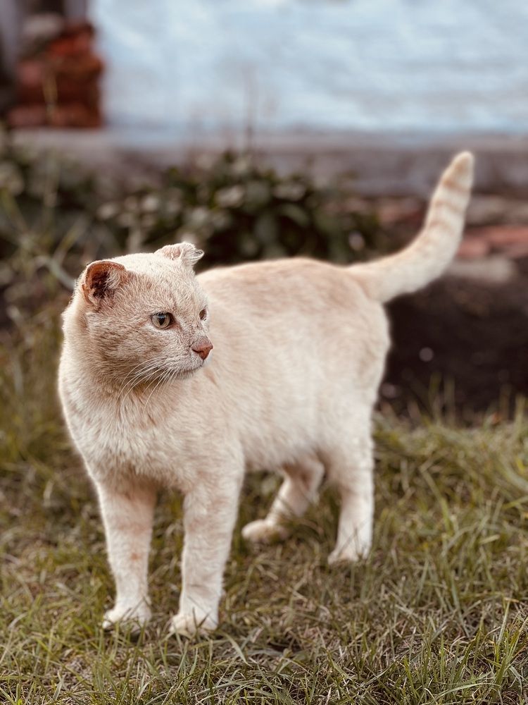 Photograph by Татьяна Смирнова