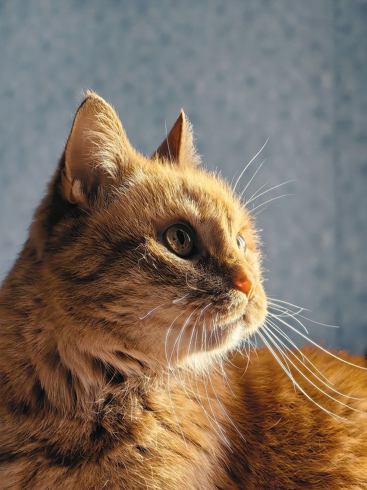 Photograph by OLGA MIKHNEVICH