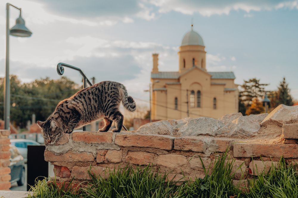 Photograph by Diony Alexander Sánchez Estevez