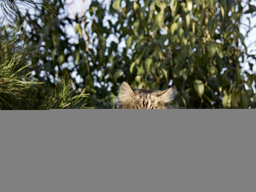 Фотография автора Ярослав Качура