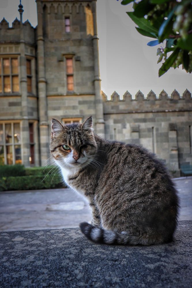 Хранитель Дворца