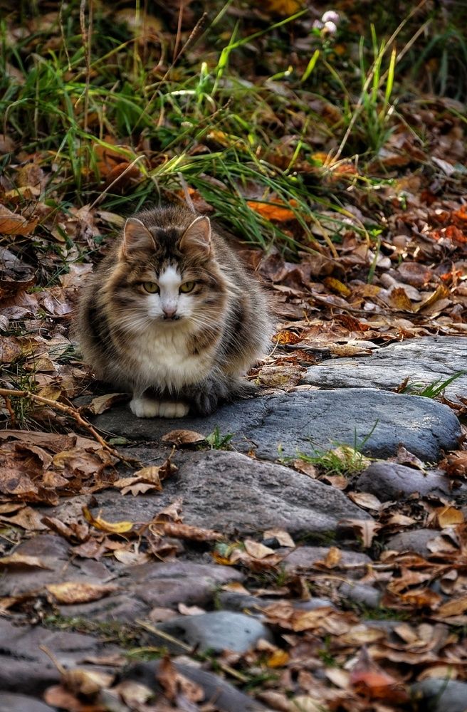 Photograph by Зыкова Мария