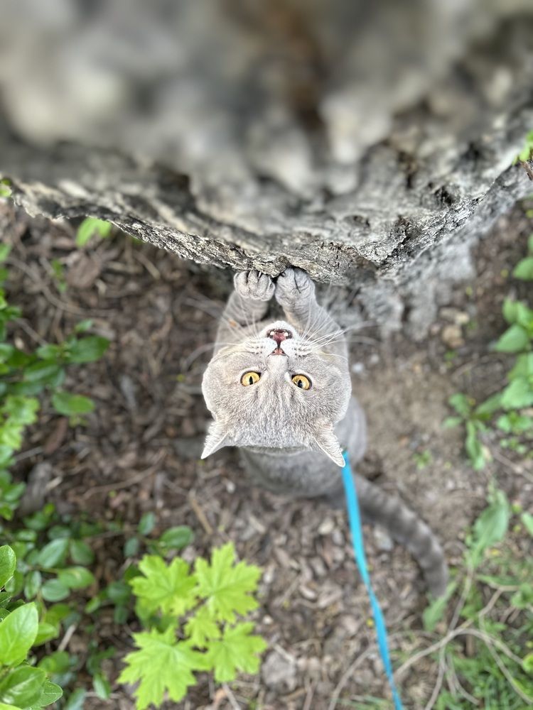 Photograph by Karina Volynskaya
