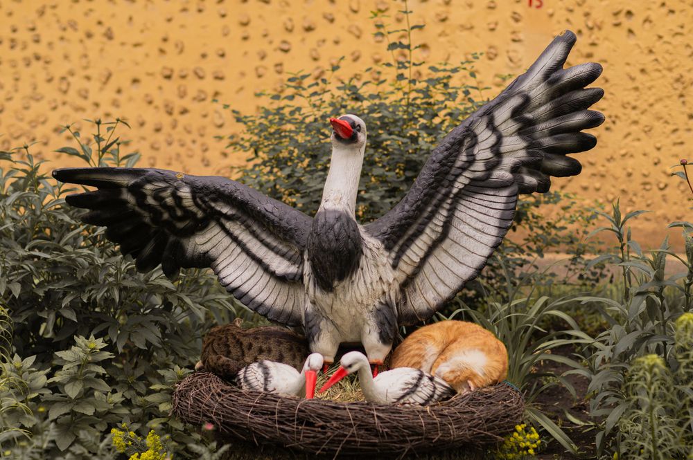 Photograph by Данил Стукалин