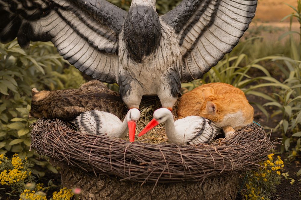 Photograph by Данил Стукалин