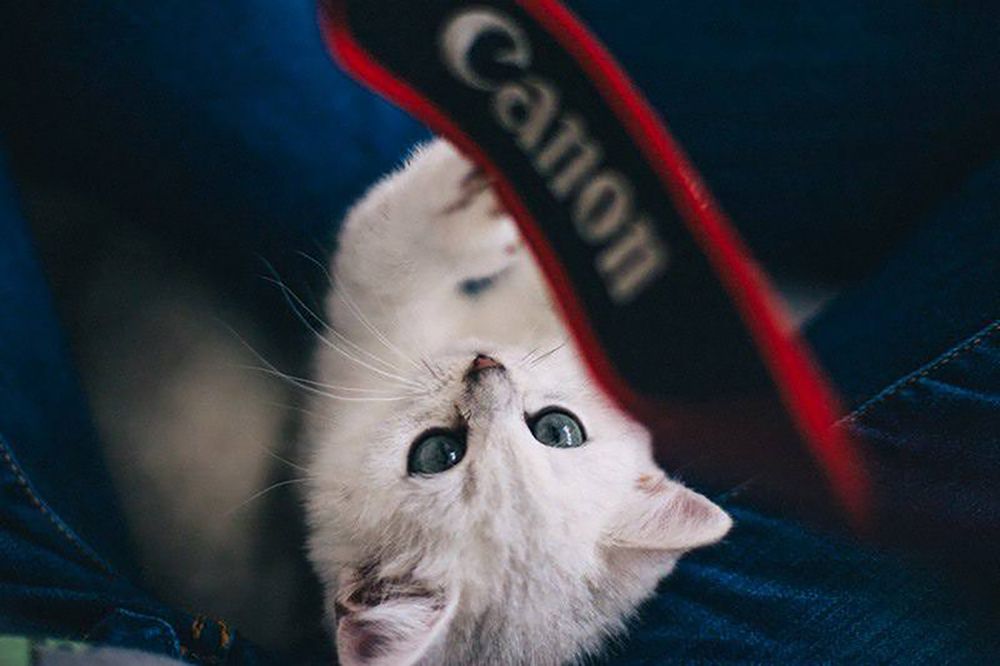 Photograph by VELES YANA