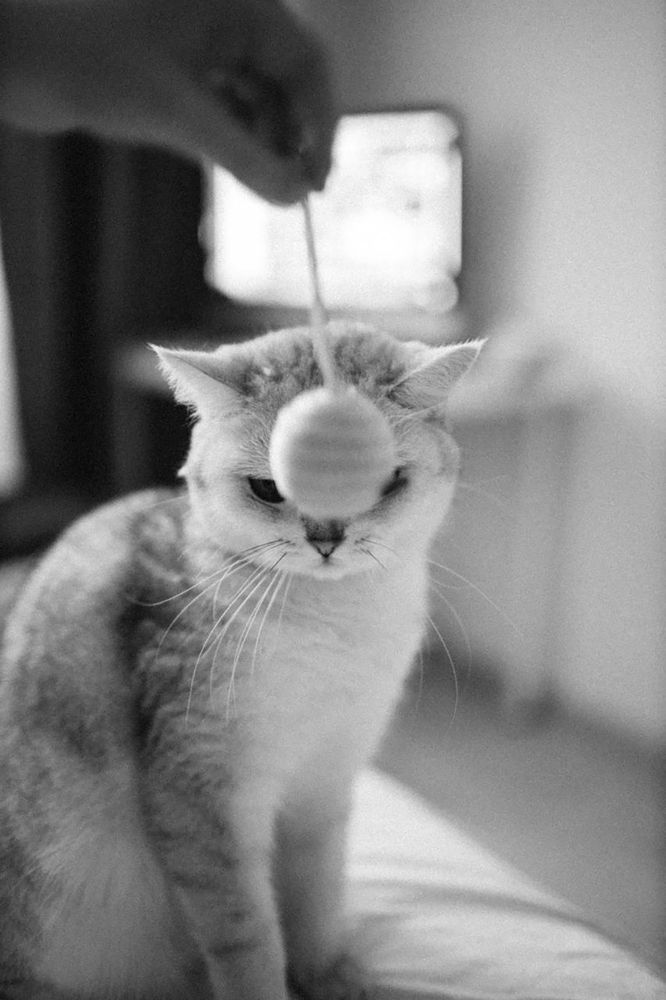 Photograph by VELES YANA