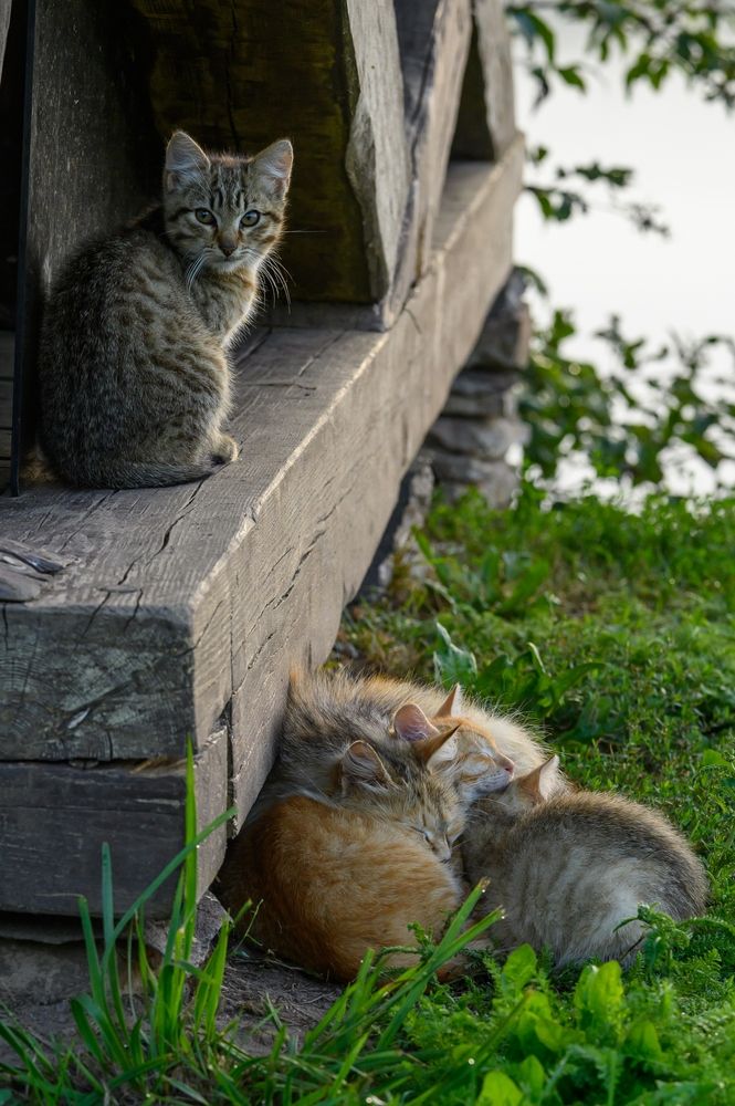 Photograph by Roman Dmitriev