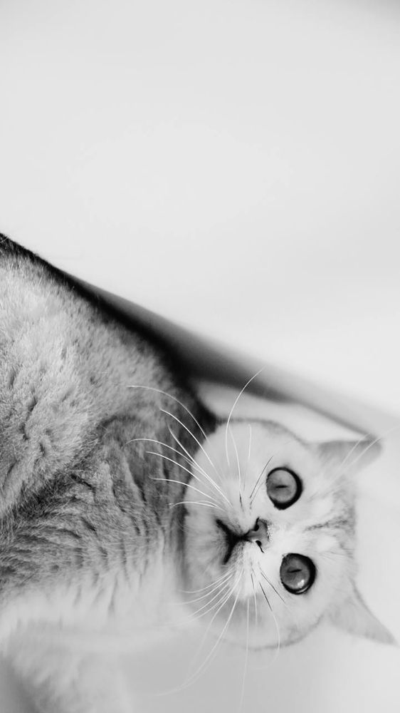 Photograph by VELES YANA