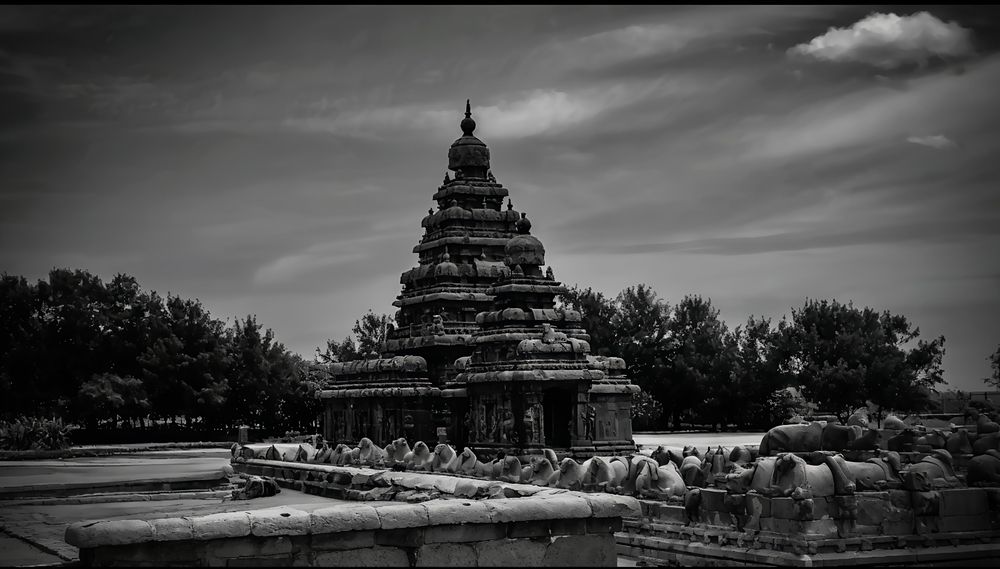 Photograph by Manoj R D