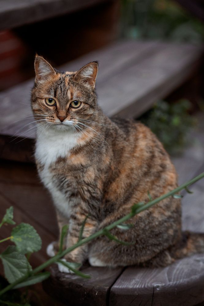 Photograph by Алексей Ефанов