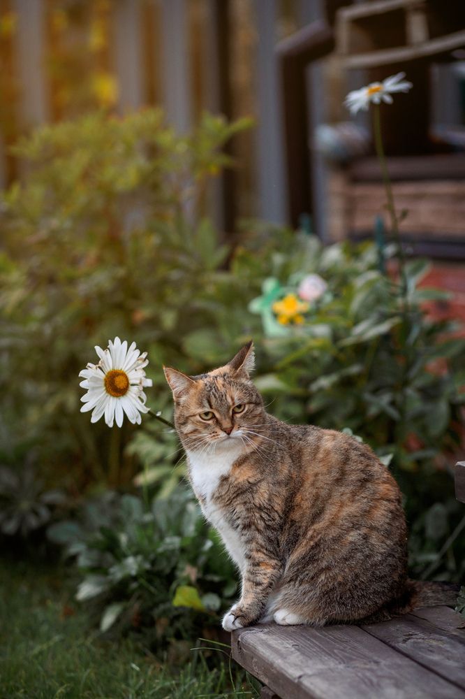 Photograph by Алексей Ефанов