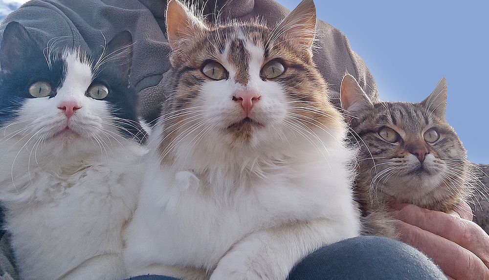 Photograph by Евгений Самулев