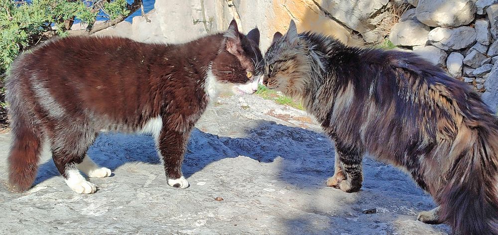 Photograph by Евгений Самулев