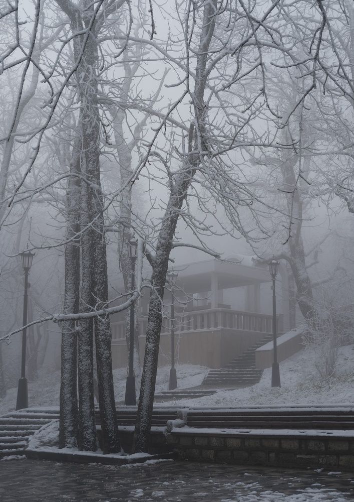 Photograph by Сергей Кошин