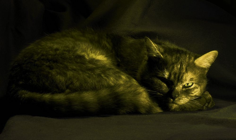 Photograph by Margarita