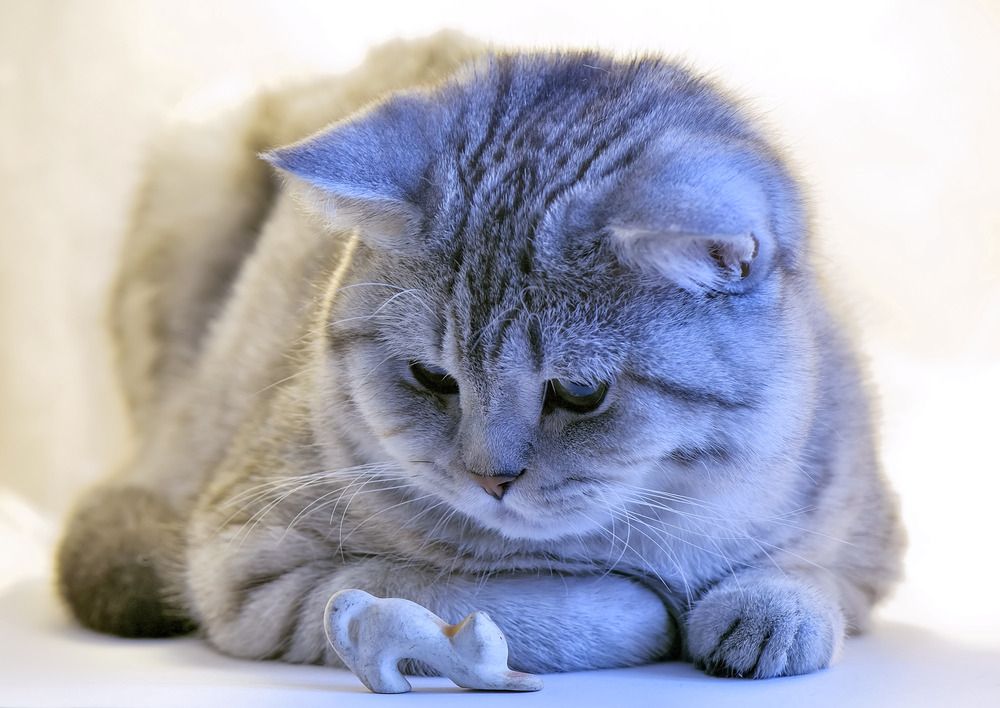 Photograph by Margarita