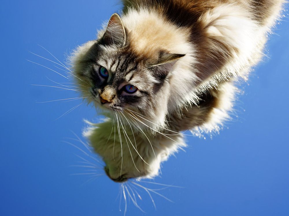 Photograph by Марина