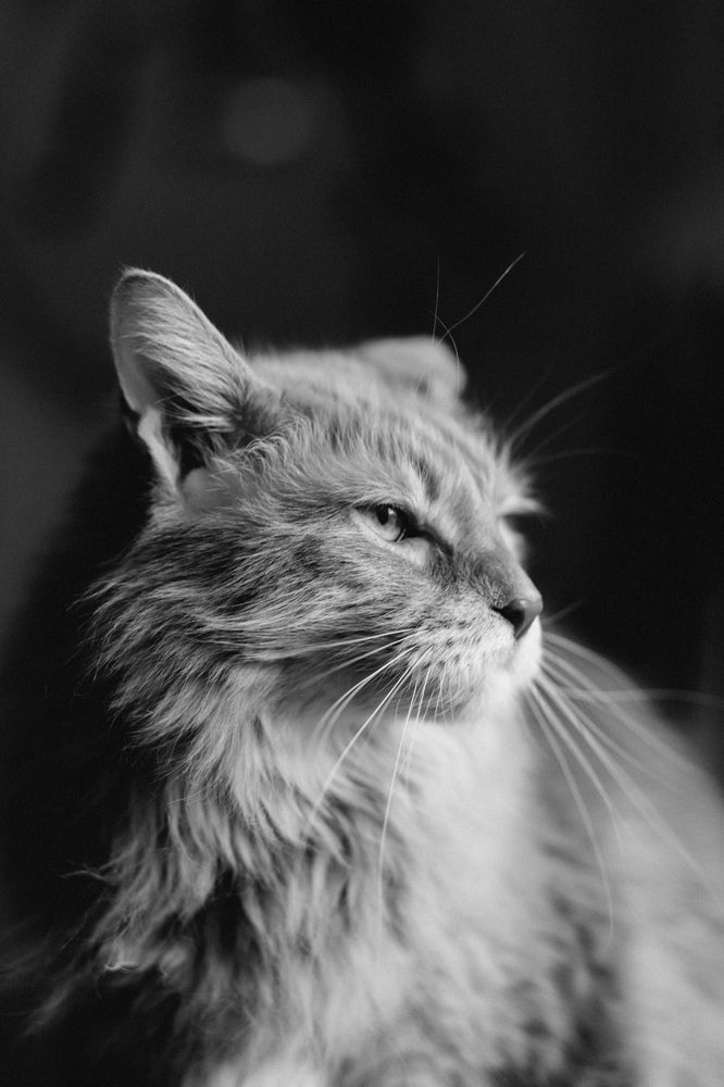 Photograph by Anna Rom