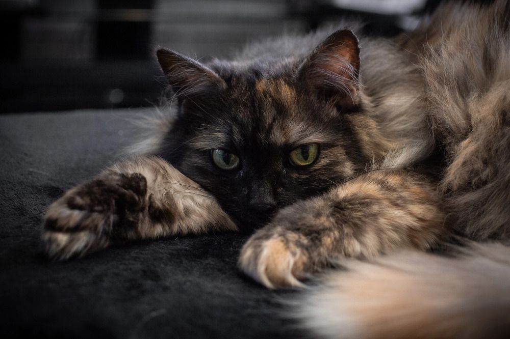 Photograph by Людмила Панюхина