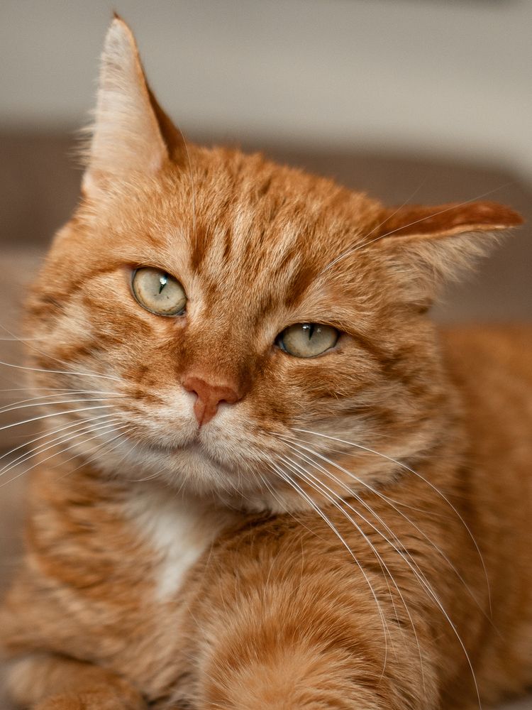 Photograph by Наталья Дунаевская