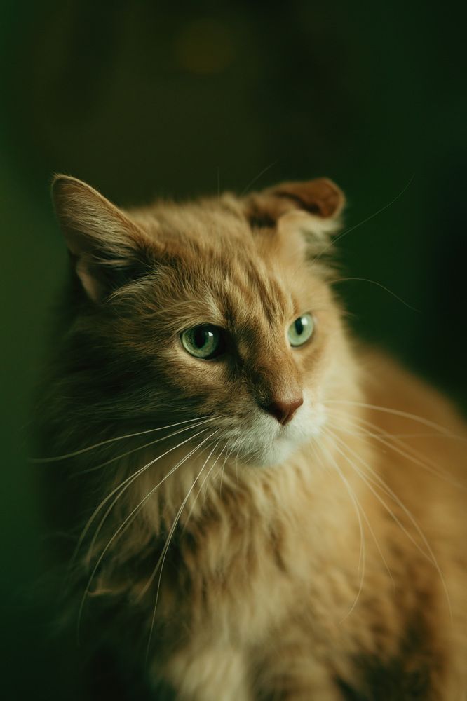 Photograph by Anna Rom