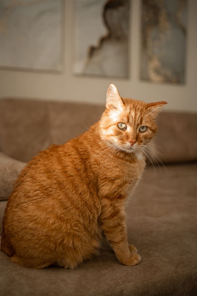 Photograph by Наталья Дунаевская