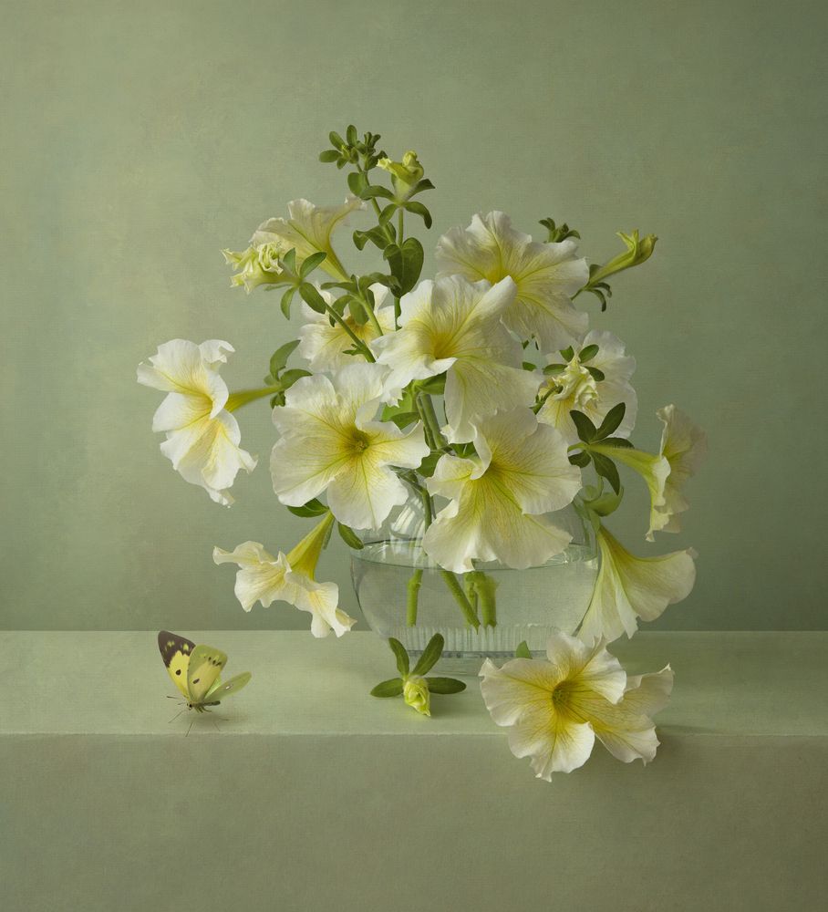 Photograph by Dina Ginevich